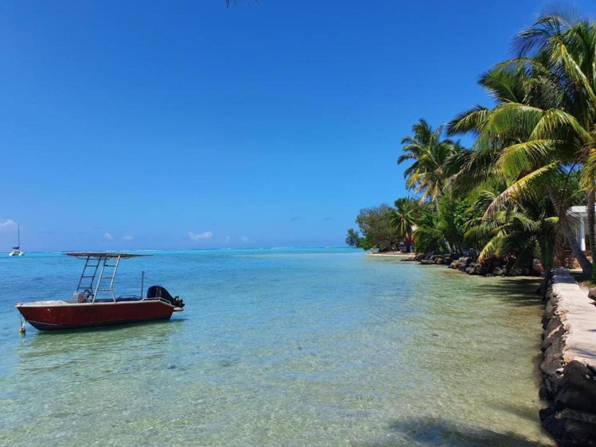 Moorea - Bungalow Chez Papou Afareaitu Exteriör bild