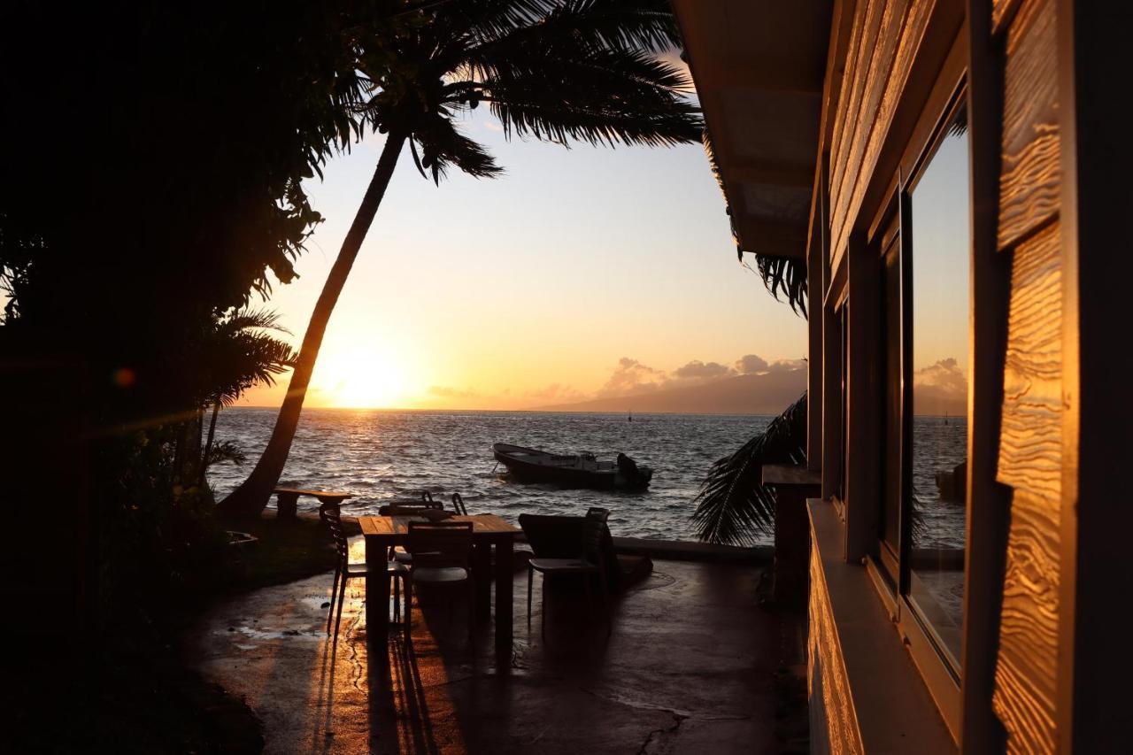 Moorea - Bungalow Chez Papou Afareaitu Exteriör bild